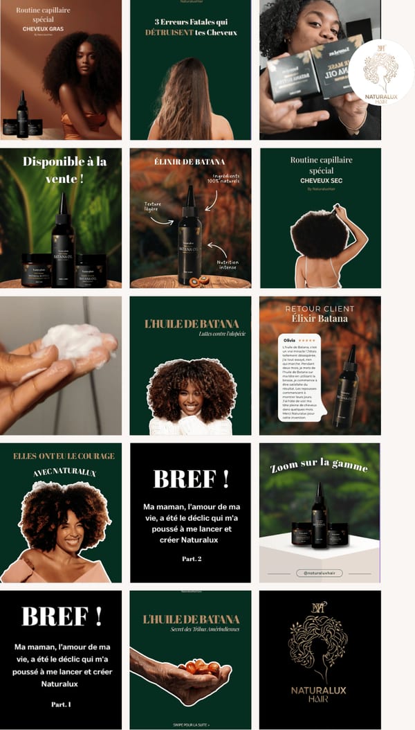 Feed Instagram Naturalux Hair
